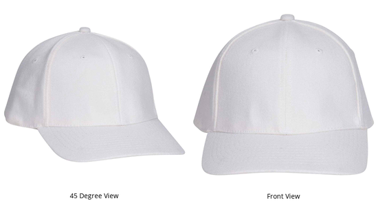 'In Need of a MEGA PINT' Trucker Hat